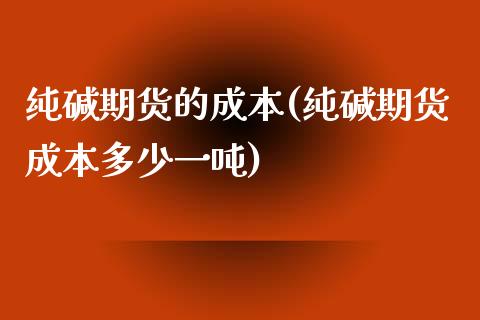 纯碱期货的成本(纯碱期货成本多少一吨)_https://www.zghnxxa.com_期货直播室_第1张