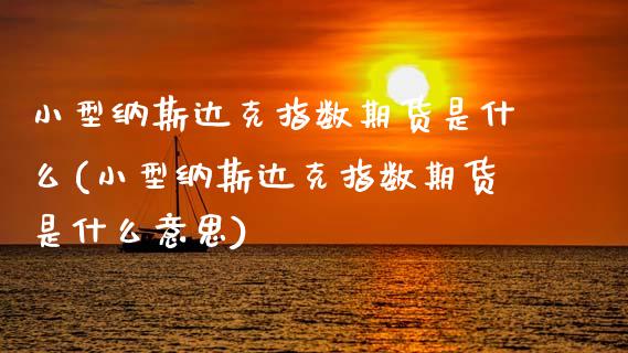 小型纳斯达克指数期货是什么(小型纳斯达克指数期货是什么意思)_https://www.zghnxxa.com_黄金期货_第1张