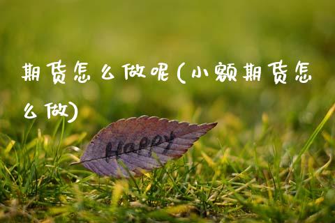 期货怎么做呢(小额期货怎么做)_https://www.zghnxxa.com_黄金期货_第1张