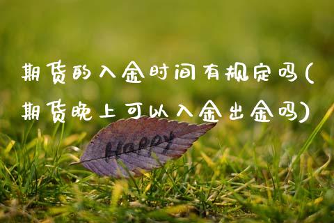 期货的入金时间有规定吗(期货晚上可以入金出金吗)_https://www.zghnxxa.com_期货直播室_第1张