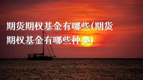 期货期权基金有哪些(期货期权基金有哪些种类)_https://www.zghnxxa.com_黄金期货_第1张