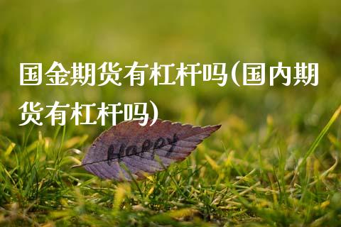国金期货有杠杆吗(国内期货有杠杆吗)_https://www.zghnxxa.com_内盘期货_第1张