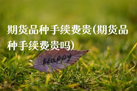 期货品种手续费贵(期货品种手续费贵吗)_https://www.zghnxxa.com_内盘期货_第1张