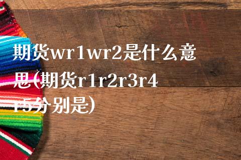 期货wr1wr2是什么意思(期货r1r2r3r4r5分别是)_https://www.zghnxxa.com_内盘期货_第1张