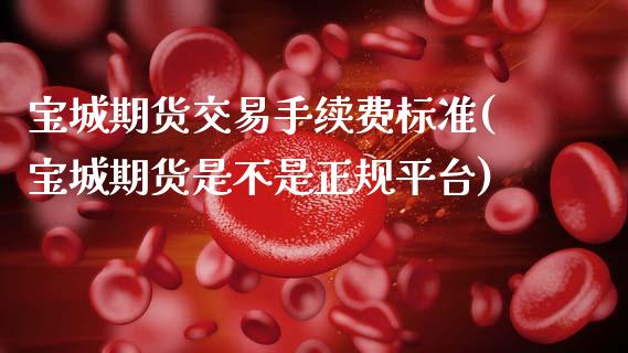 宝城期货交易手续费标准(宝城期货是不是正规平台)_https://www.zghnxxa.com_国际期货_第1张