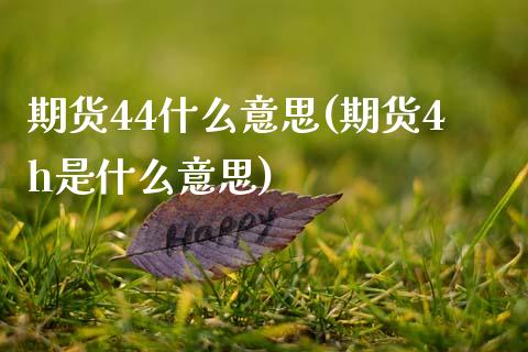 期货44什么意思(期货4h是什么意思)_https://www.zghnxxa.com_黄金期货_第1张