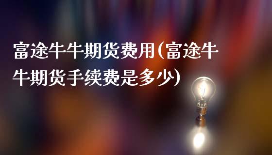 富途牛牛期货费用(富途牛牛期货手续费是多少)_https://www.zghnxxa.com_内盘期货_第1张