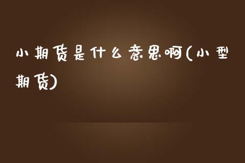 小期货是什么意思啊(小型期货)_内盘期货_第1张_期货直播室 小期货是什么意思啊(小型期货)_https://www.zghnxxa.com_内盘期货_第1张