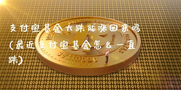 支付宝基金大跌能涨回来吗(最近支付宝基金怎么一直跌)_内盘期货_第1张_期货直播室 支付宝基金大跌能涨回来吗(最近支付宝基金怎么一直跌)_https://www.zghnxxa.com_内盘期货_第1张