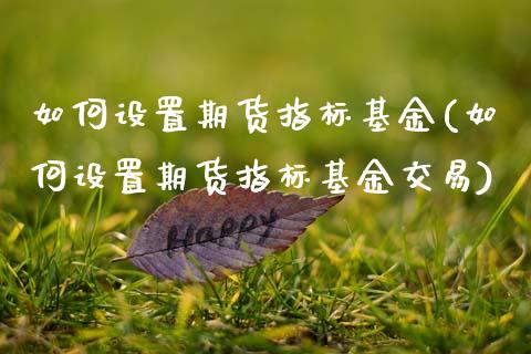 如何设置期货指标基金(如何设置期货指标基金交易)_https://www.zghnxxa.com_内盘期货_第1张