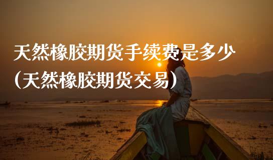 天然橡胶期货手续费是多少(天然橡胶期货交易)_https://www.zghnxxa.com_内盘期货_第1张