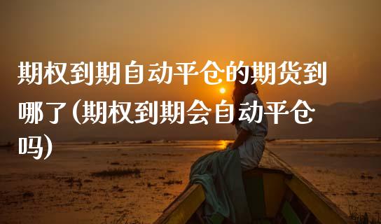 期权到期自动平仓的期货到哪了(期权到期会自动平仓吗)_https://www.zghnxxa.com_内盘期货_第1张