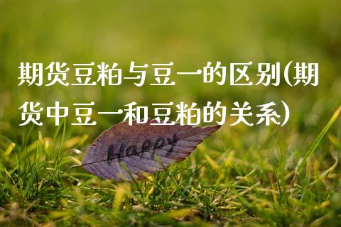 期货豆粕与豆一的区别(期货中豆一和豆粕的关系)_内盘期货_第1张_期货直播室 期货豆粕与豆一的区别(期货中豆一和豆粕的关系)_https://www.zghnxxa.com_内盘期货_第1张