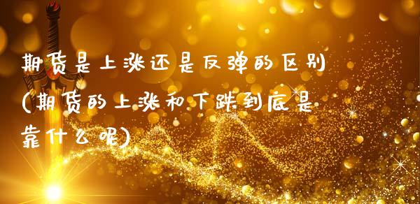 期货是上涨还是反弹的区别(期货的上涨和下跌到底是靠什么呢)_https://www.zghnxxa.com_国际期货_第1张
