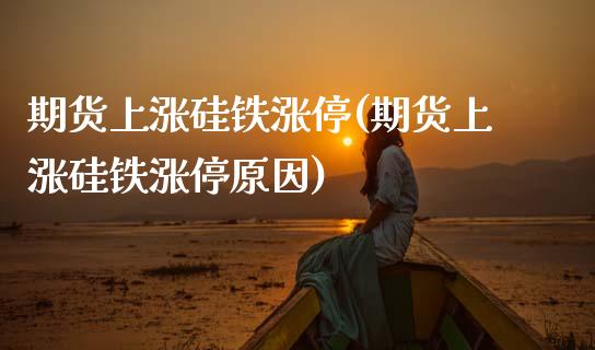 期货上涨硅铁涨停(期货上涨硅铁涨停原因)_https://www.zghnxxa.com_期货直播室_第1张