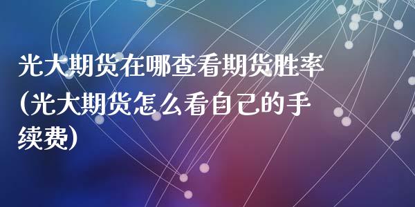 光大期货在哪查看期货胜率(光大期货怎么看自己的手续费)_https://www.zghnxxa.com_黄金期货_第1张
