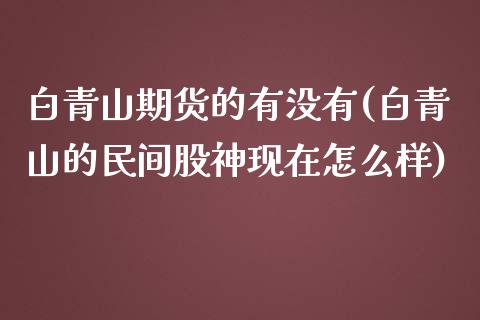 白青山期货的有没有(白青山的民间股神现在怎么样)_https://www.zghnxxa.com_内盘期货_第1张