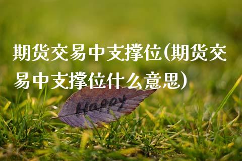 期货交易中支撑位(期货交易中支撑位什么意思)_期货直播室_第1张_期货直播室 期货交易中支撑位(期货交易中支撑位什么意思)_https://www.zghnxxa.com_期货直播室_第1张