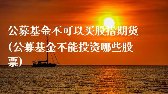 公募基金不可以买股指期货(公募基金不能投资哪些股票)_内盘期货_第1张_期货直播室 公募基金不可以买股指期货(公募基金不能投资哪些股票)_https://www.zghnxxa.com_内盘期货_第1张