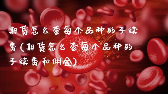 期货怎么查每个品种的手续费(期货怎么查每个品种的手续费和佣金)_https://www.zghnxxa.com_黄金期货_第1张