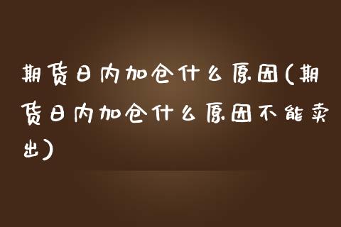 期货日内加仓什么原因(期货日内加仓什么原因不能卖出)_https://www.zghnxxa.com_期货直播室_第1张