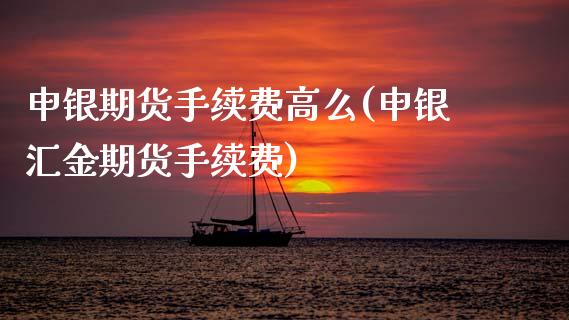 申银期货手续费高么(申银汇金期货手续费)_https://www.zghnxxa.com_国际期货_第1张