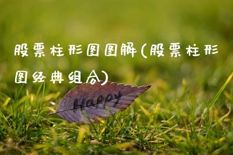 股票柱形图图解(股票柱形图经典组合)_https://www.zghnxxa.com_期货直播室_第1张