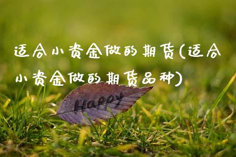 适合小资金做的期货(适合小资金做的期货品种)_https://www.zghnxxa.com_期货直播室_第1张