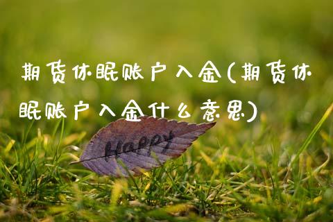 期货休眠账户入金(期货休眠账户入金什么意思)_黄金期货_第1张_期货直播室 期货休眠账户入金(期货休眠账户入金什么意思)_https://www.zghnxxa.com_黄金期货_第1张