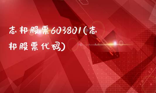 志邦股票603801(志邦股票代码)_https://www.zghnxxa.com_期货直播室_第1张