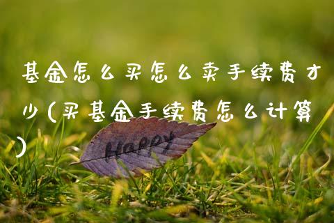 基金怎么买怎么卖手续费才少(买基金手续费怎么计算)_https://www.zghnxxa.com_国际期货_第1张