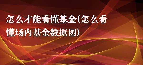 怎么才能看懂基金(怎么看懂场内基金数据图)_https://www.zghnxxa.com_期货直播室_第1张
