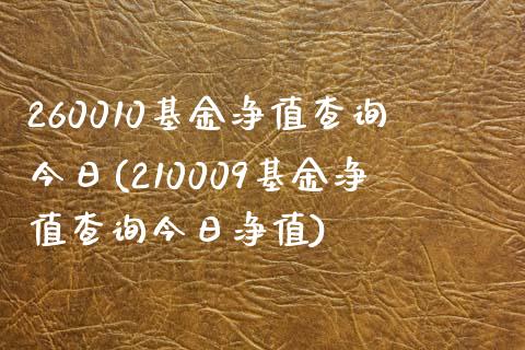 260010基金净值查询今日(210009基金净值查询今日净值)_https://www.zghnxxa.com_期货直播室_第1张