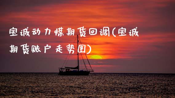 宝诚动力煤期货回调(宝诚期货账户走势图)_https://www.zghnxxa.com_黄金期货_第1张