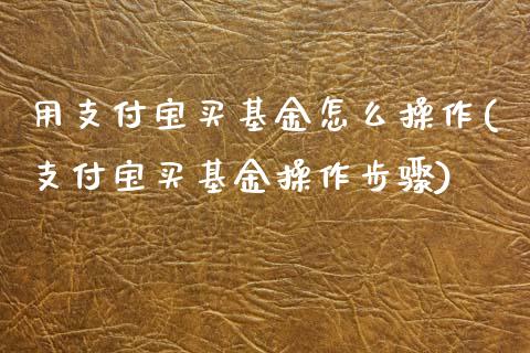 用支付宝买基金怎么操作(支付宝买基金操作步骤)_https://www.zghnxxa.com_内盘期货_第1张