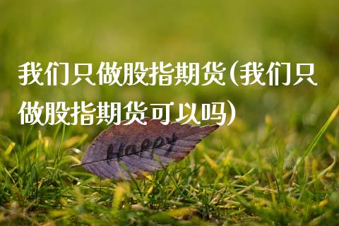 我们只做股指期货(我们只做股指期货可以吗)_https://www.zghnxxa.com_国际期货_第1张