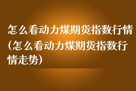 怎么看动力煤期货指数行情(怎么看动力煤期货指数行情走势)_https://www.zghnxxa.com_国际期货_第1张