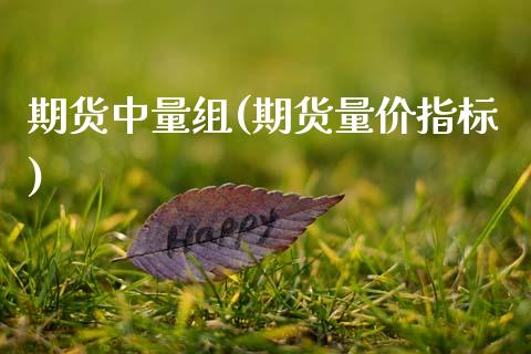 期货中量组(期货量价指标)_https://www.zghnxxa.com_期货直播室_第1张