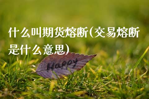 什么叫期货熔断(交易熔断是什么意思)_期货直播室_第1张_期货直播室 什么叫期货熔断(交易熔断是什么意思)_https://www.zghnxxa.com_期货直播室_第1张