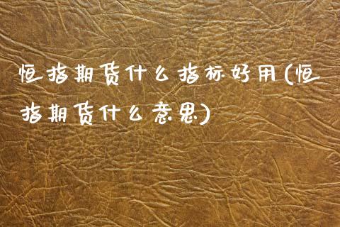 恒指期货什么指标好用(恒指期货什么意思)_https://www.zghnxxa.com_期货直播室_第1张