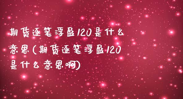 期货逐笔浮盈120是什么意思(期货逐笔浮盈120是什么意思啊)_https://www.zghnxxa.com_期货直播室_第1张