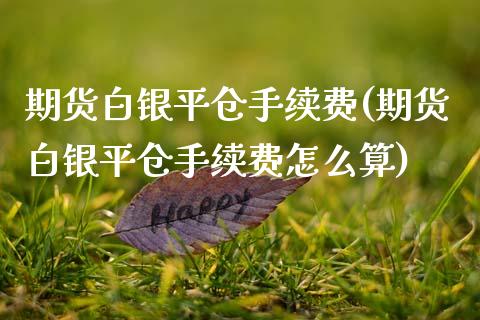 期货白银平仓手续费(期货白银平仓手续费怎么算)_国际期货_第1张_期货直播室 期货白银平仓手续费(期货白银平仓手续费怎么算)_https://www.zghnxxa.com_国际期货_第1张