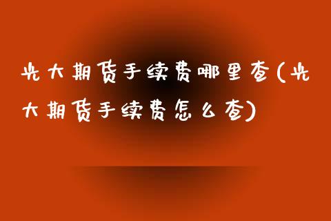 光大期货手续费哪里查(光大期货手续费怎么查)_https://www.zghnxxa.com_期货直播室_第1张