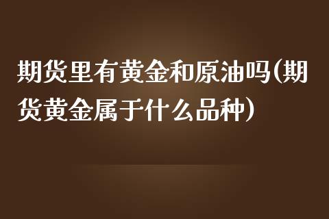 期货里有黄金和原油吗(期货黄金属于什么品种)_https://www.zghnxxa.com_黄金期货_第1张