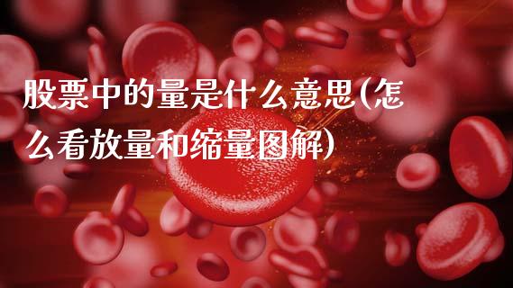股票中的量是什么意思(怎么看放量和缩量图解)_内盘期货_第1张_期货直播室 股票中的量是什么意思(怎么看放量和缩量图解)_https://www.zghnxxa.com_内盘期货_第1张