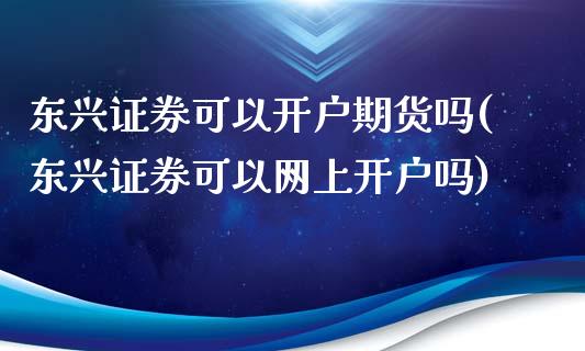 东兴证券可以开户期货吗(东兴证券可以网上开户吗)_https://www.zghnxxa.com_黄金期货_第1张
