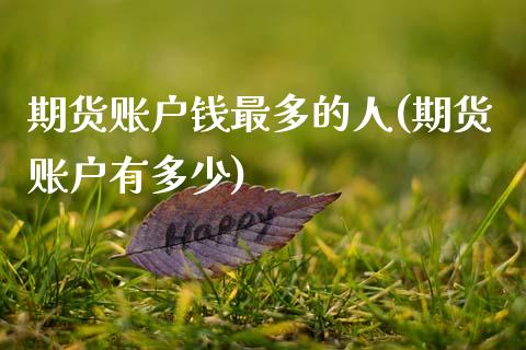 期货账户钱最多的人(期货账户有多少)_https://www.zghnxxa.com_国际期货_第1张