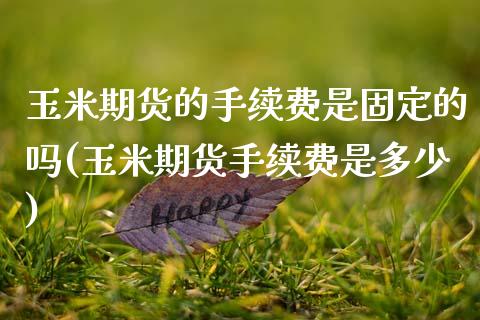 玉米期货的手续费是固定的吗(玉米期货手续费是多少)_https://www.zghnxxa.com_内盘期货_第1张