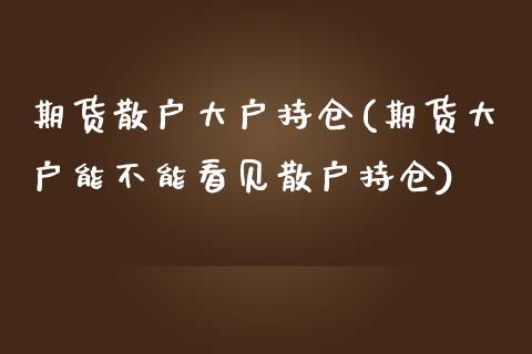 期货散户大户持仓(期货大户能不能看见散户持仓)_https://www.zghnxxa.com_黄金期货_第1张