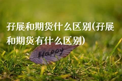 孖展和期货什么区别(孖展和期货有什么区别)_https://www.zghnxxa.com_期货直播室_第1张
